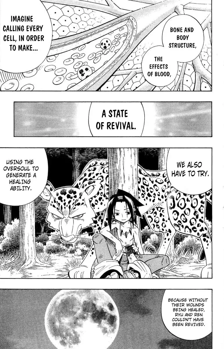 Shaman King Chapter 195 14